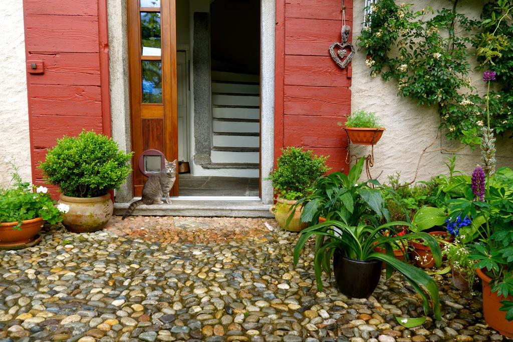 Bed & Breakfast Uvablu Trontano Exteriér fotografie