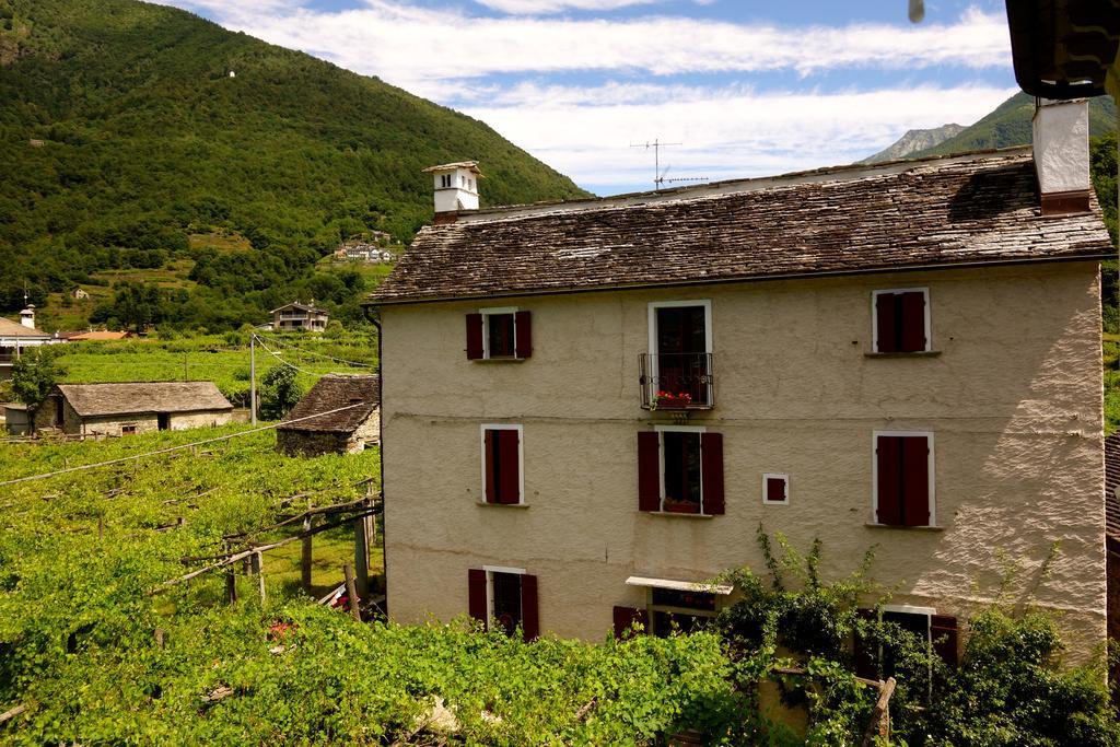 Bed & Breakfast Uvablu Trontano Exteriér fotografie
